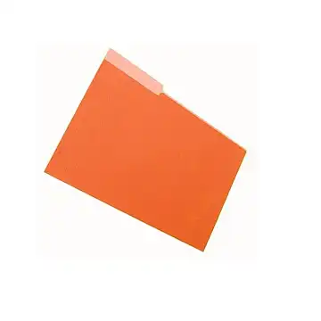 CARPETA INTERNA COLGANTE X 50 (CARPETIN)