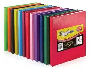CUADERNO TRIUNFANTE N 1 X 100 HJS