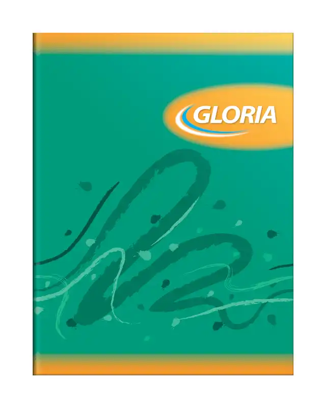 CUADERNO GLORIA T/F X 84 RAY.