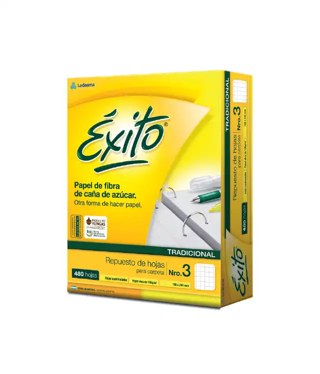 REPUESTO EXITO X 480 CUADRICULADO