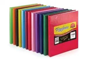 CUADERNO TRIUNFANTE N 3  X 100