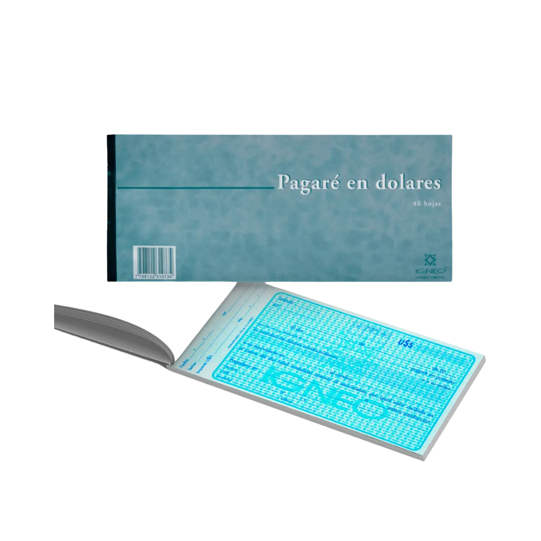 PAGARE EN DOLARES 40 HJS