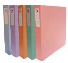 CARPETA A4 2X40 CARTON MONTADO