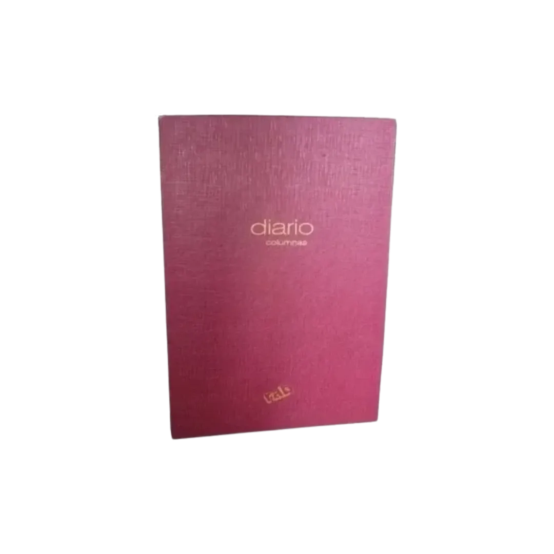 LIBRO DIARIO RAB 25 COLUMNAS 2 MANOS 77252