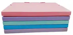 CAJA C/ELASTICO FTSIA 2 CM